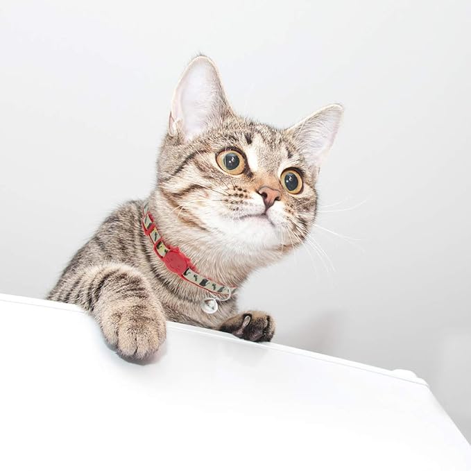Cat Collars Breakaway with Bell - Image 6