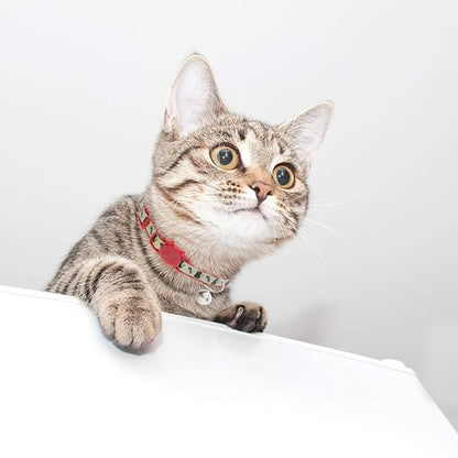 Cat Collars Breakaway with Bell - Image 6