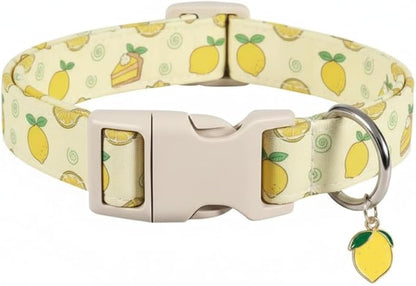 Dog Collar, Spring Summer Dog Collar by Britwicfr