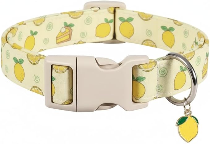 Dog Collar, Spring Summer Dog Collar by Britwicfr