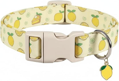 Dog Collar, Spring Summer Dog Collar by Britwicfr