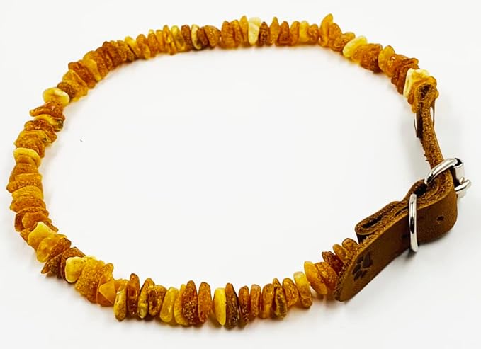 Baltic Amber Dog & Cat Collar - Image 4