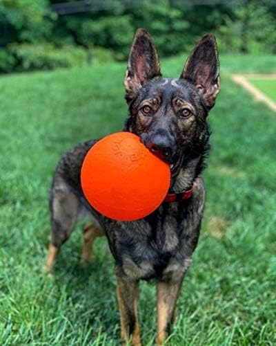 Jolly Pets Dog 6-Inch Bounce-n-Play, 6 Inches/Medium - Image 2