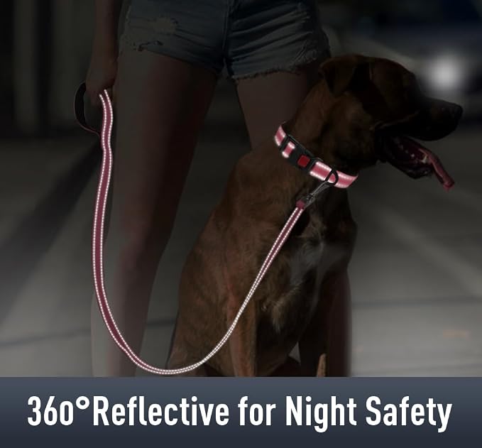 Airtag Dog Collar with AirTag Holder - Image 4