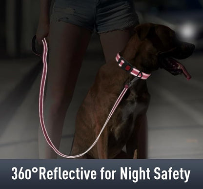 Airtag Dog Collar with AirTag Holder - Image 4