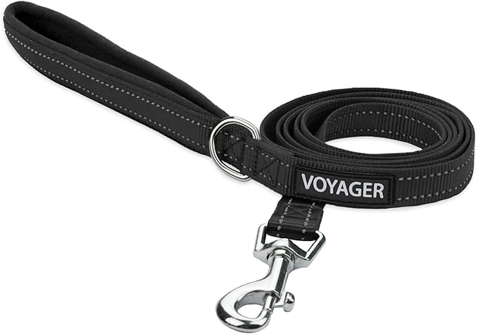 Best Pet Supplies Voyager Reflective Dog Leash or Collar by BestPetSuppliesLLC