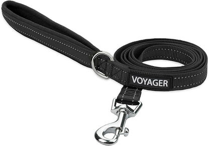 Best Pet Supplies Voyager Reflective Dog Leash or Collar by BestPetSuppliesLLC