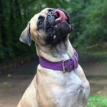 Heavy Duty Tactical Dog Collar - Image 7