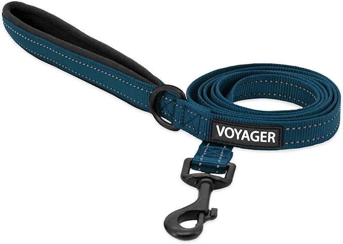 Best Pet Supplies Voyager Reflective Dog Leash or Collar by BestPetSuppliesLLC