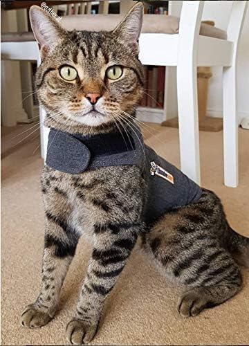 ThunderShirt For Cats - Image 6