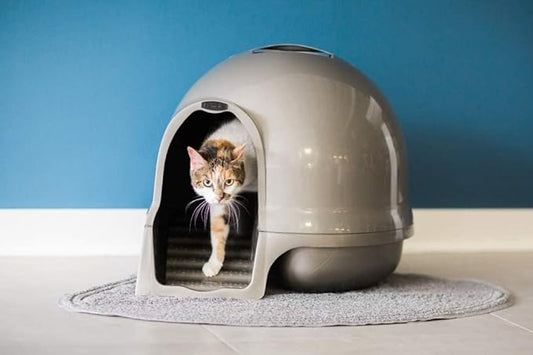 Petmate Booda Clean Step Cat Litter Box Dome- Brushed Nickel, Made in USA - Image 2