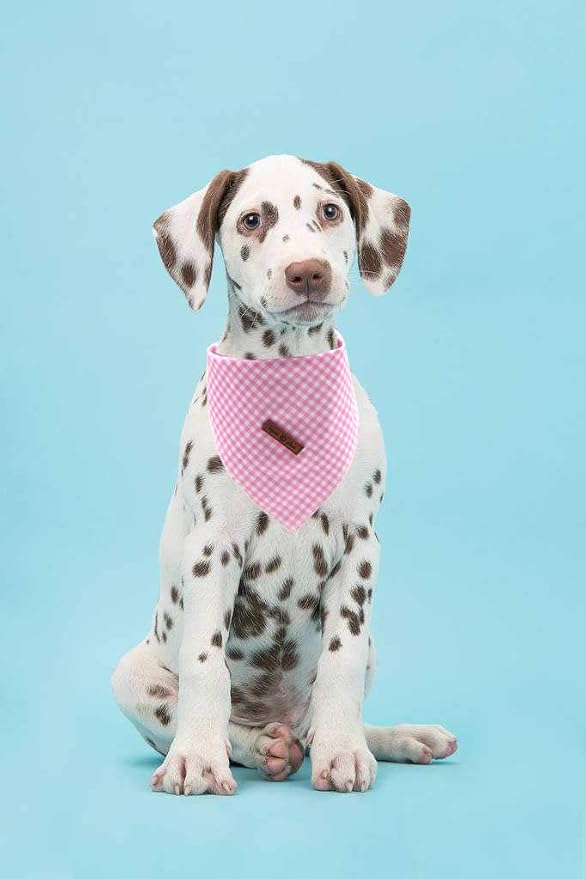 Lionet Paws Dog Bandana Washable Cotton Handkerchief Scarf Triangle Bandana - Image 5