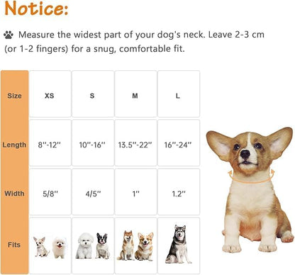 Dog Collar for Extra Small Dogs, Spring &Summer Theme Orange Small Dog Collars - Image 2
