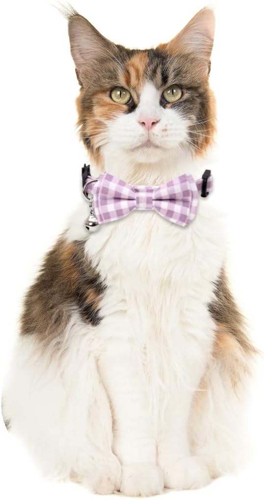 2 Pack/Set Cat Collar Breakaway - Image 5