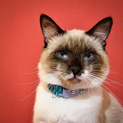 Kittyrama Mauve Cat Collar - Image 9