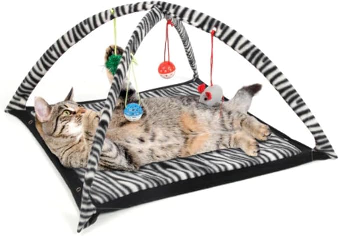 Cat Play Tent by Unknown