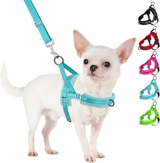 SlowTon No Pull Small Dog Harness and Leash Set, Puppy Soft Vest Harness Neck & by SlowTon