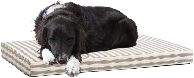 Barkbox Orthopedic Dog Bed | Comfortable Memory Foam Mattress by BARK