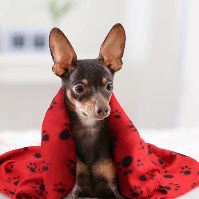 EAGMAK Cute Dog Cat Fleece Blankets - Image 6