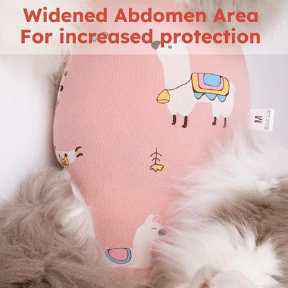 Cat Recovery Suit for Spay Abdominal Wounds, Breathable Cat Onesie for Cats - Image 4