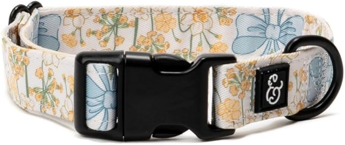 Lucy & Co. Sunshine and Daffodils Dog Collar, Adjustable Durable Dog Collar by LucyCo