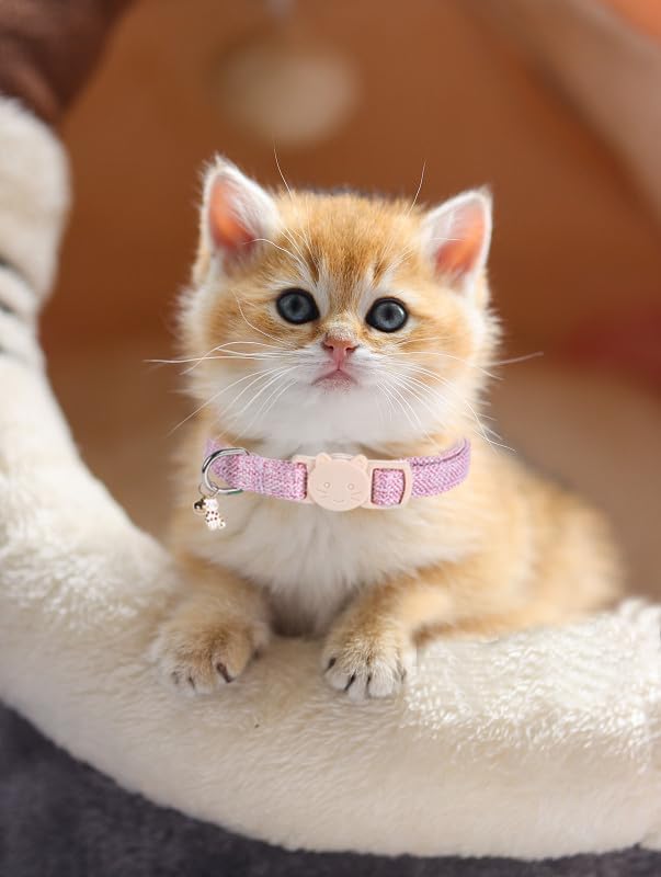 Cat Collar-2 Pack Cat Collar Blue and Pink Linnet - Image 7