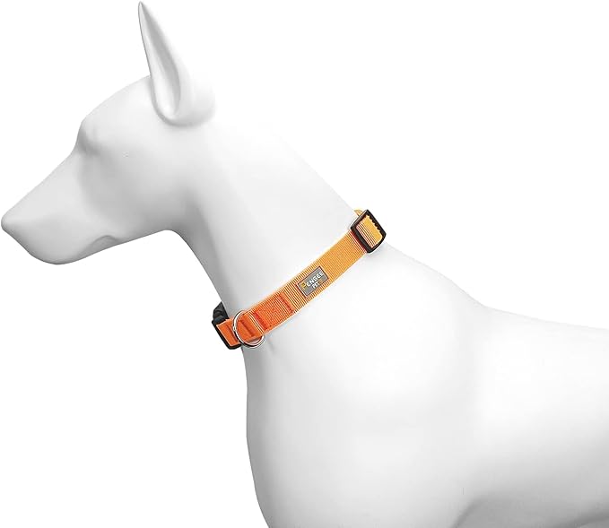 Dog Collar Orange Basic Adjustable Dog Collars - Image 4