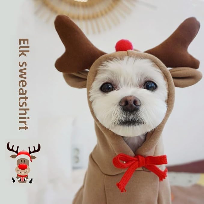 Warm Dog Winter Clothes Cute Fruit Dog Coat Hoodies Fleece Pet Dogs Costume - Image 5