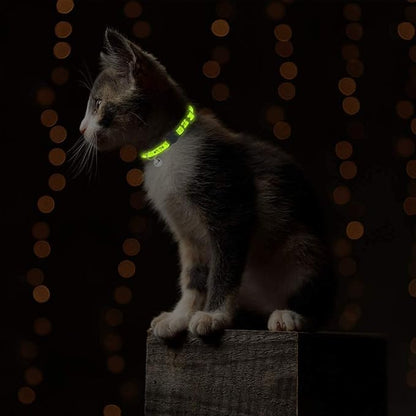 Cat Collars Breakaway with Bell - Image 7