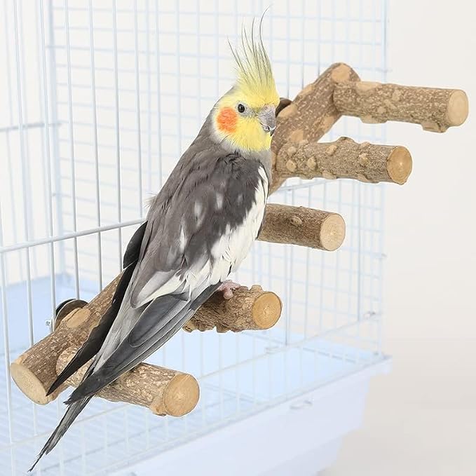 Natural Wood Bird perches Bird Ladder Perch Parrot Ladder Hamster Climbing Toys - Image 5