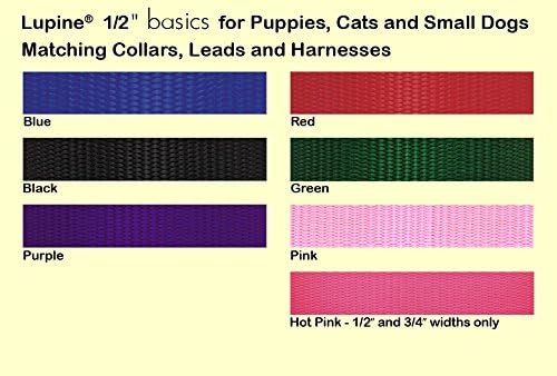 LupinePet Basics 1/2" Green 10-16" Adjustable Collar - Image 2