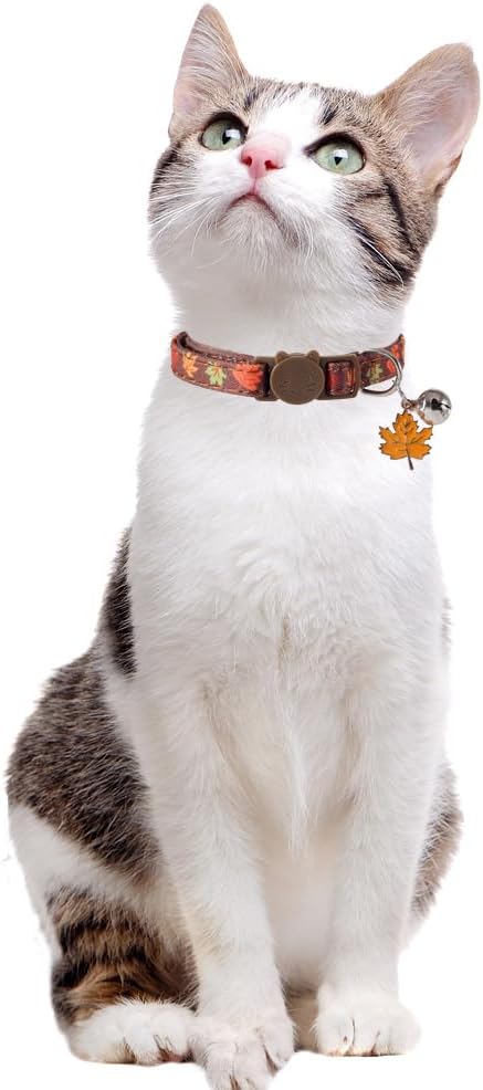 3 Pack Thanksgiving Cat Collar Fall Autumn Holiday - Image 5