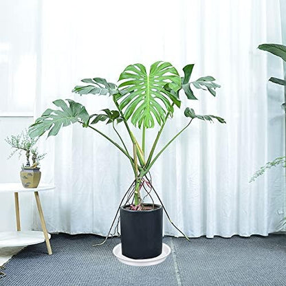 4 Pack of 16 inch Plant Saucer White, Bird Bath Bowls, Heavy Duty Plastic Plant - Image 2