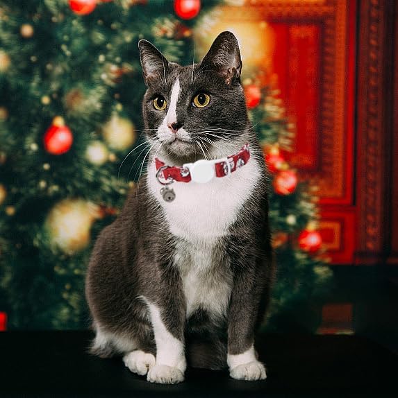 Lionet Paws 2pcs Pack Cotton Cat Collar, Breakaway Buckle Christmas Cat Colar - Image 3