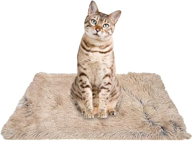 PJYuCien Dog Blankets for Small Dogs Washable by PJYuGienPetGarden