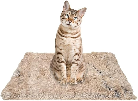 PJYuCien Dog Blankets for Small Dogs Washable by PJYuGienPetGarden
