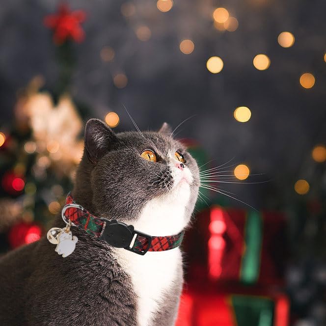 Unique style paws 2 Pack Christmas Kitten Collar Breakaway - Image 6