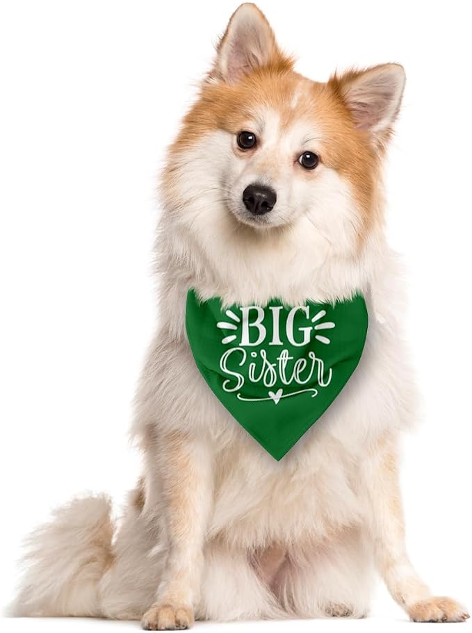 Big Sister Dog Bandana, 25 x 17 Inches, Comfortable, Water Resistant, Geometric - Image 2