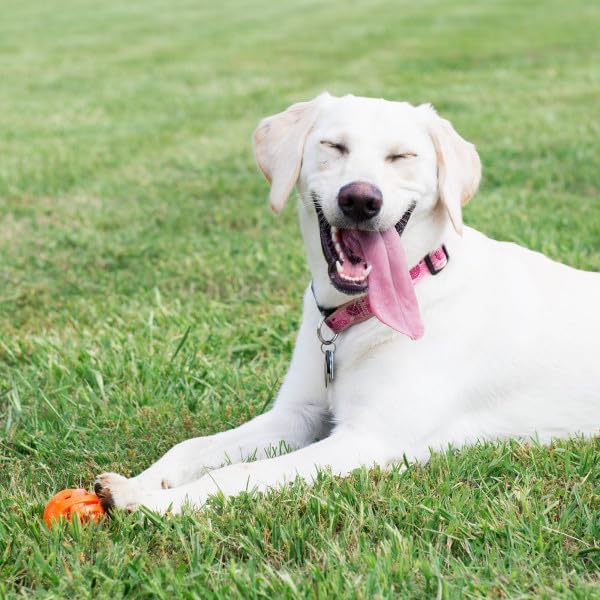 Chuckit! Air Fetch Ball Dog Toy, Extra Large, - Image 3