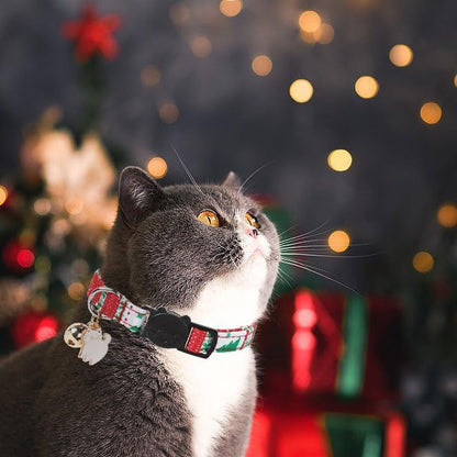 Unique style paws 2 Pack Christmas Kitten Collar Breakaway - Image 5