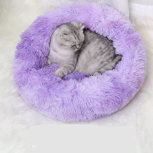 Large Cat Beds for Indoor Cats - Image 2