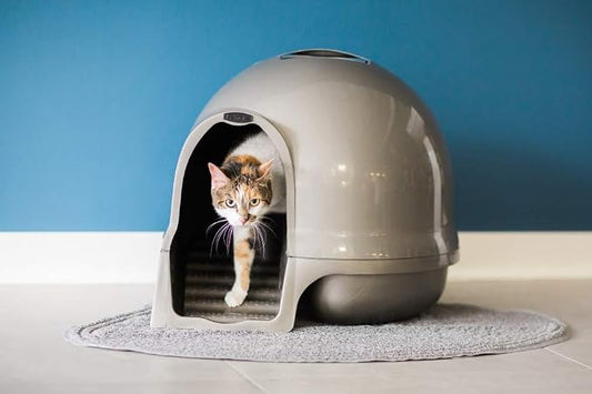 Petmate Booda Clean Step Cat Litter Box Dome- Pearl White, Made in USA - Image 2