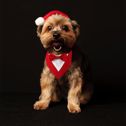Dog Wedding Bandana, Formal Dog Tuxedo Adjustable Pet Collar - Image 6