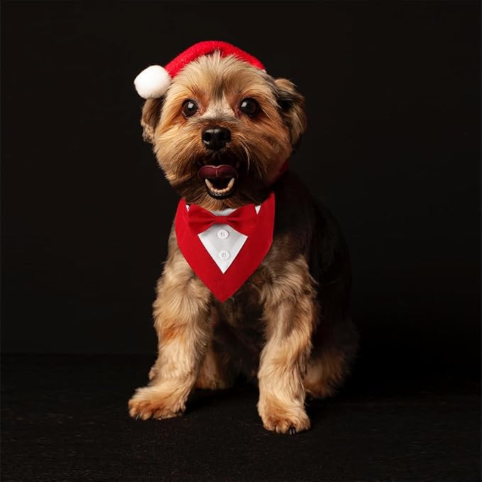 Formal Dog Tuxedo Adjustable Pet Collar - Image 4