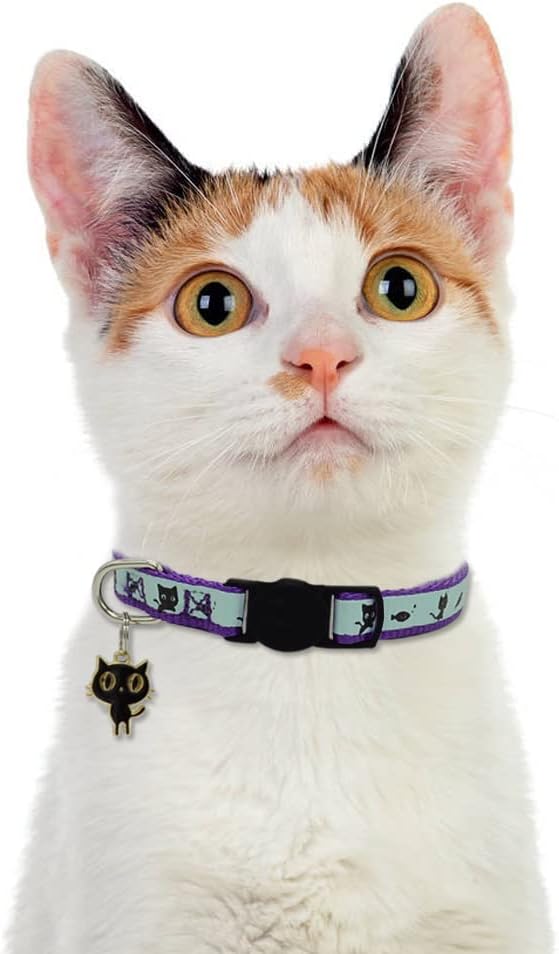 2 Pack Glow in The Dark Cat Collar - Image 6