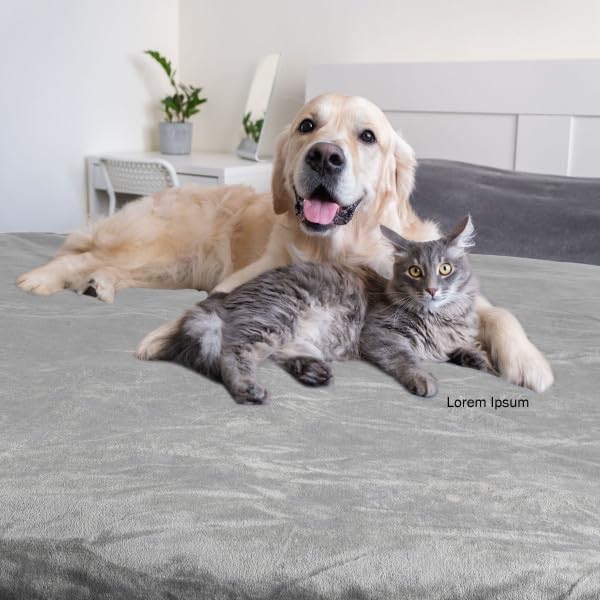Waterproof Pet Blanket - Image 8