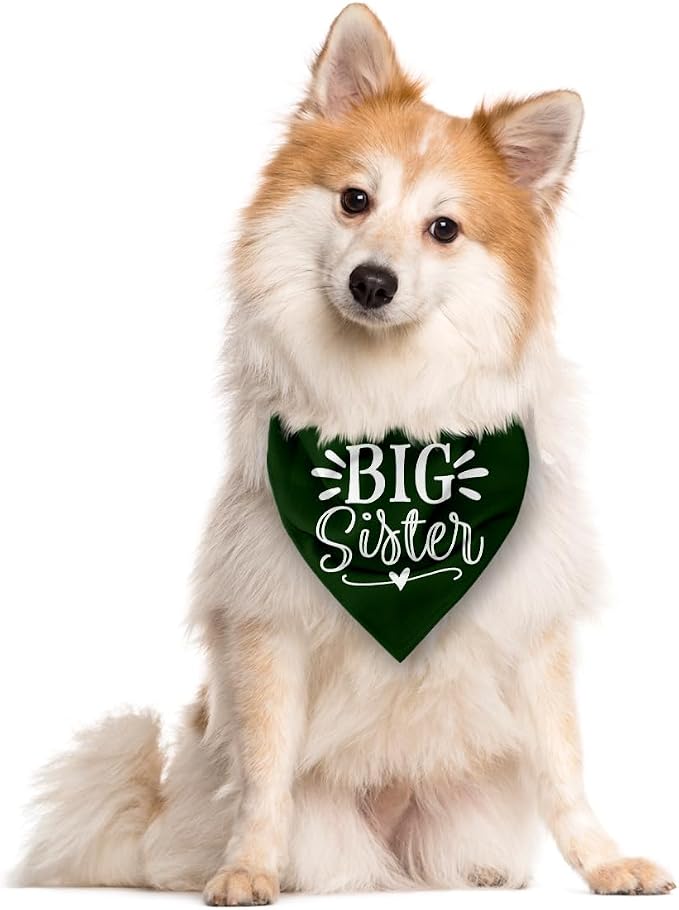 Big Sister Bandana for Dogs, Pet Pregnancy Announcement, Dark Green Dog Bandana - Image 2