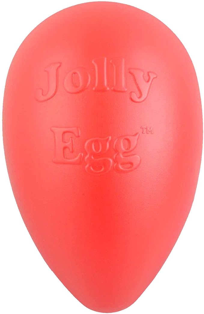 Jolly Pets Jolly Egg Dog Toy, 8 Inches/Medium by JollyPets