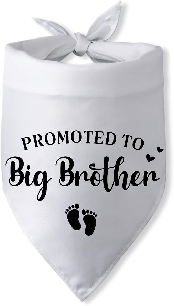 Promoted to Big Brother Pregnancy Announcement Dog Bandana Baby Announcement by PwrlveiutforYou
