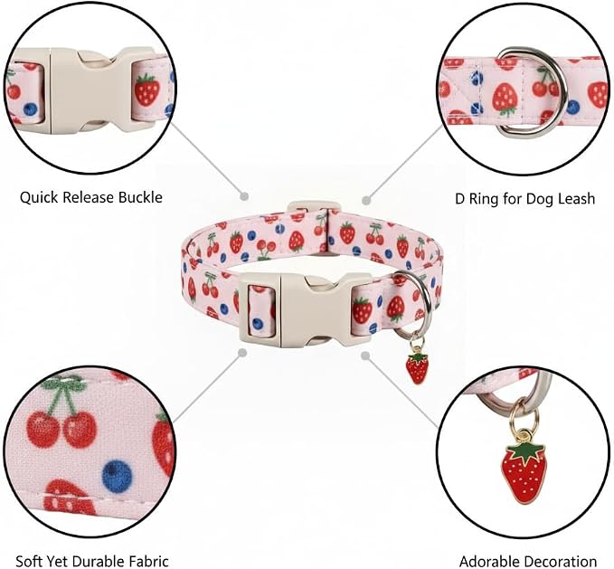 Girl Dog Collar, Cute Dog Collar - Image 2